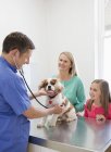 Ветеринар и владельцы осматривают собаку в ветеринарной хирургии — стоковое фото