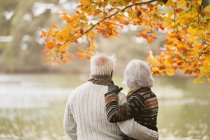 Rear view of older couple standing in park — Stock Photo