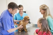 Veterinario y propietarios examinando perro en cirugía veterinaria - foto de stock