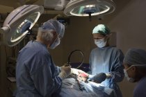 Chirurghi al lavoro in sala operatoria veterinaria — Foto stock