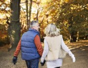 Couple plus âgé marchant ensemble dans le parc — Photo de stock