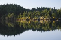 Paisagem rural refletida em lago imóvel — Fotografia de Stock