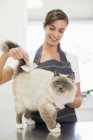 Kaukasischer Pfleger arbeitet im Büro an Katze — Stockfoto