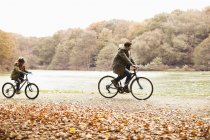 Отец и сын катаются на велосипедах в парке — стоковое фото