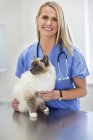 Ветеринарне обстеження кота у ветеринарній хірургії — стокове фото