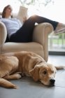 Perro sentado con mujer en la sala de estar - foto de stock