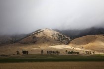 Collines vallonnées dans le paysage rural — Photo de stock