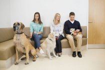 Owners with pet in waiting area of veterinary surgery — Stock Photo