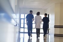 Сотрудники больницы разговаривают в современном коридоре — стоковое фото