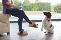 Dog sitting for woman with cell phone — Stock Photo