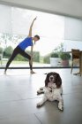 Cão com mulher praticando ioga na sala de estar — Fotografia de Stock