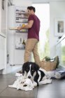 Dog chewing up toilet paper in kitchen — Stock Photo