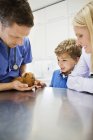 Veterinário e proprietários examinando cobaia em cirurgia veterinária — Fotografia de Stock
