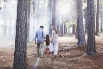 Familia cogida de la mano y caminando en bosques soleados - foto de stock