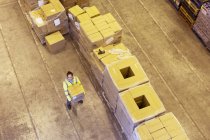 Trabalhador transportando caixa no armazém — Fotografia de Stock