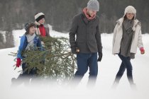 Joyeux famille portant un arbre de Noël frais dans un champ enneigé — Photo de stock