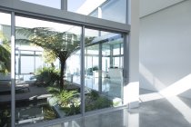 Plants growing in modern office courtyard — Stock Photo