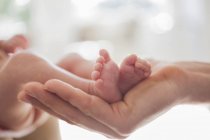 Mãe berço recém-nascido pés do bebê — Fotografia de Stock