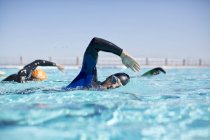 Triatletas confiantes e fortes em wetsuits corrida na piscina — Fotografia de Stock