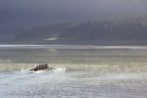 Веслуючий екіпаж веслує вал на озері — стокове фото