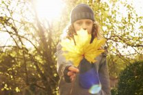 Дівчина тримає осіннє листя на відкритому повітрі — стокове фото