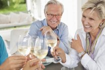 Friends toasting each other with wine — Stock Photo