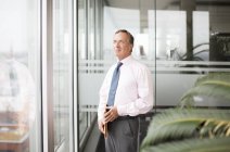 Businessman standing at modern office window — Stock Photo