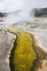 Steam rising from hot spring in basin — Stock Photo