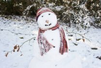 Bonhomme de neige portant écharpe et chapeau — Photo de stock