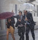 Felici uomini d'affari con ombrelli che corrono in strada piovosa — Foto stock