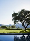Swimming pool overlooking tree and mountains — Stock Photo