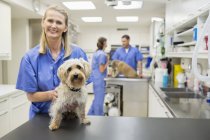 Veterinário sorrindo com cão em cirurgia veterinária — Fotografia de Stock