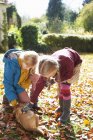 Девочки ласкают собаку в осенних листьях — стоковое фото