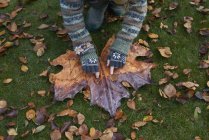 Crop girl jouer avec des feuilles d'automne — Photo de stock
