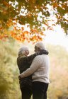 Rückansicht eines älteren Paares, das sich im Park umarmt — Stockfoto
