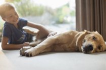 Garçon souriant caressant chien dans le salon — Photo de stock