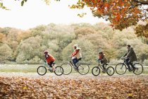 Vélo en famille ensemble dans le parc — Photo de stock
