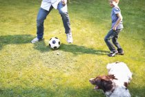 Niño jugando fútbol con perro al aire libre - foto de stock
