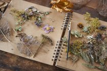 Getrocknete Blumen und Kräuter auf Notizbuch — Stockfoto