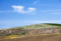 Rolling hills against blue sky during daytime — Stock Photo