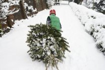 Boy dragging Christmas tree down street — Stock Photo