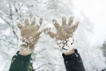 Cropped image of snowy gloves against trees — Stock Photo
