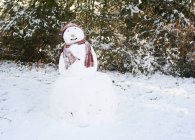 Сніговик у капелюсі та шарфі — стокове фото