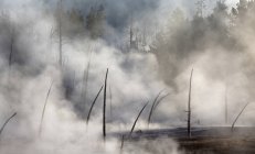 Dampf steigt aus heißer Quelle auf — Stockfoto
