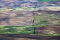 Vista aérea dos campos durante o dia — Fotografia de Stock