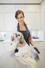 Toiletteur caucasien travaillant sur chien au bureau — Photo de stock