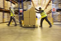 Рабочие перевозят коробки на складе — стоковое фото