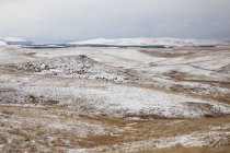 Hügellandschaft in verschneiter Landschaft — Stockfoto