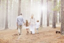 Family holding hands and walking in sunny woods — Stock Photo