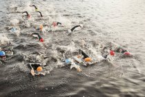 Уверенные и сильные триатлонисты, плавающие в воде — стоковое фото